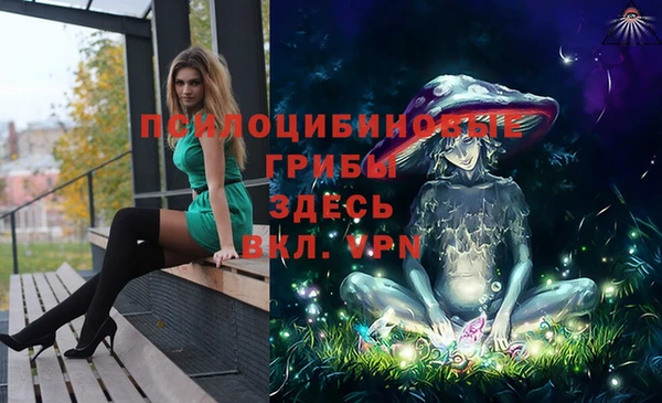 стафф Вяземский