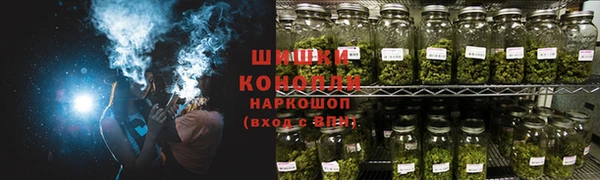стафф Вяземский