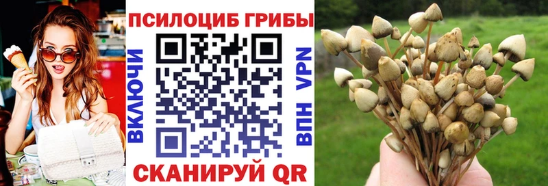 площадка официальный сайт  Курган  Псилоцибиновые грибы GOLDEN TEACHER 